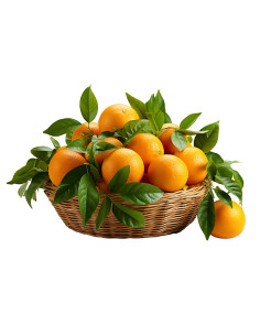 cesta de naranjas de mesa