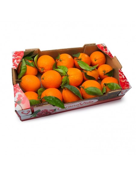 Naranjas en caja 5 kg