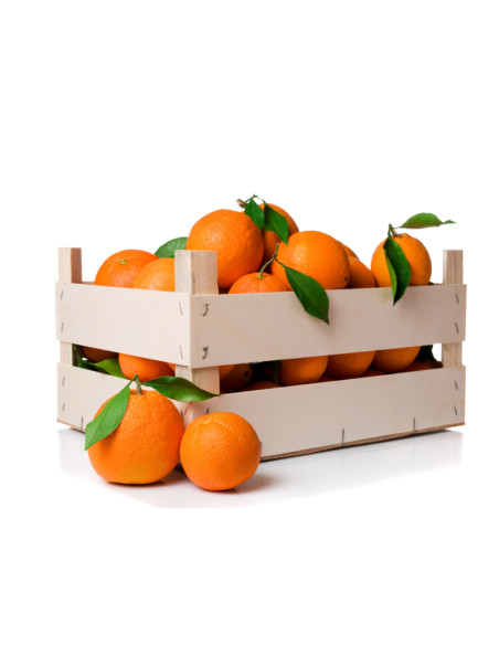 Naranjas de Zumo variedad Lane Late - Compra Directa desde Elche con Envío Gratis  - 6
