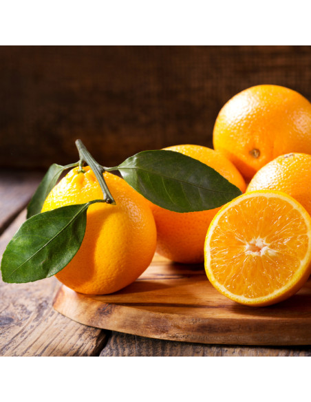 Naranjas de Zumo variedad Lane Late - Compra Directa desde Elche con Envío Gratis  - 2