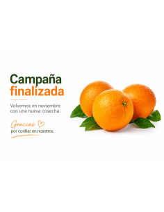 Fin de Campaña