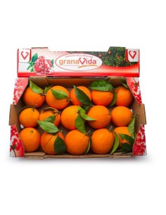Naranjas de elche en caja de 10 kg